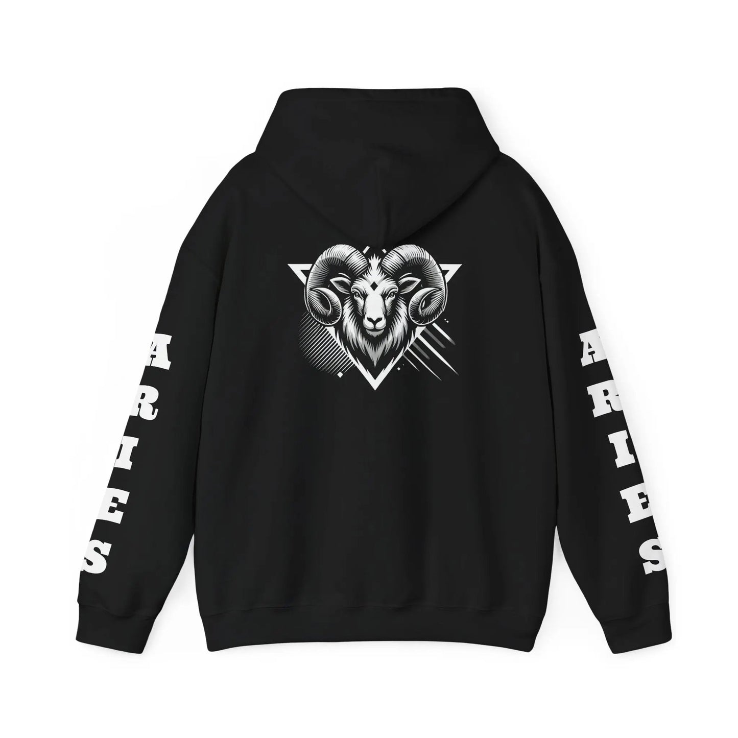 Aries Energy Everyday Hooded Sweatshirt Printify