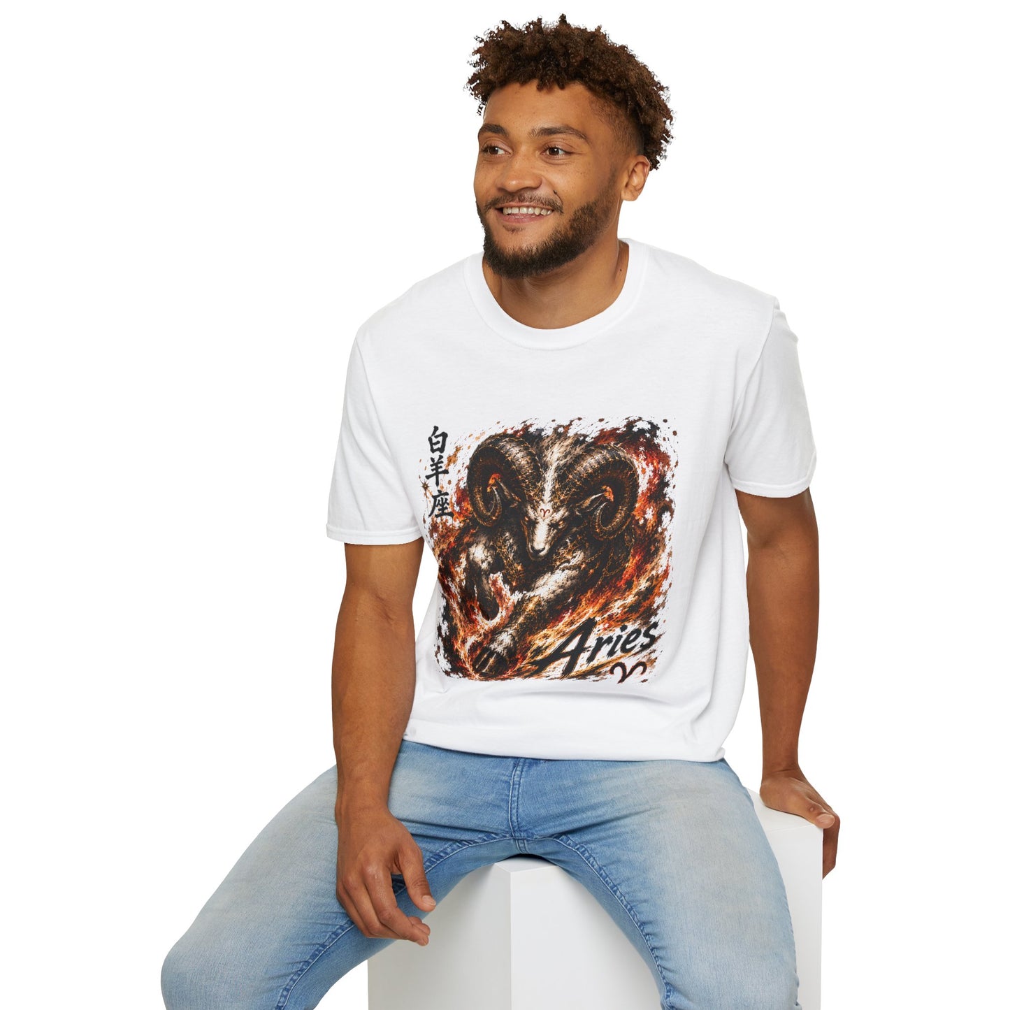 Aries T-shirt