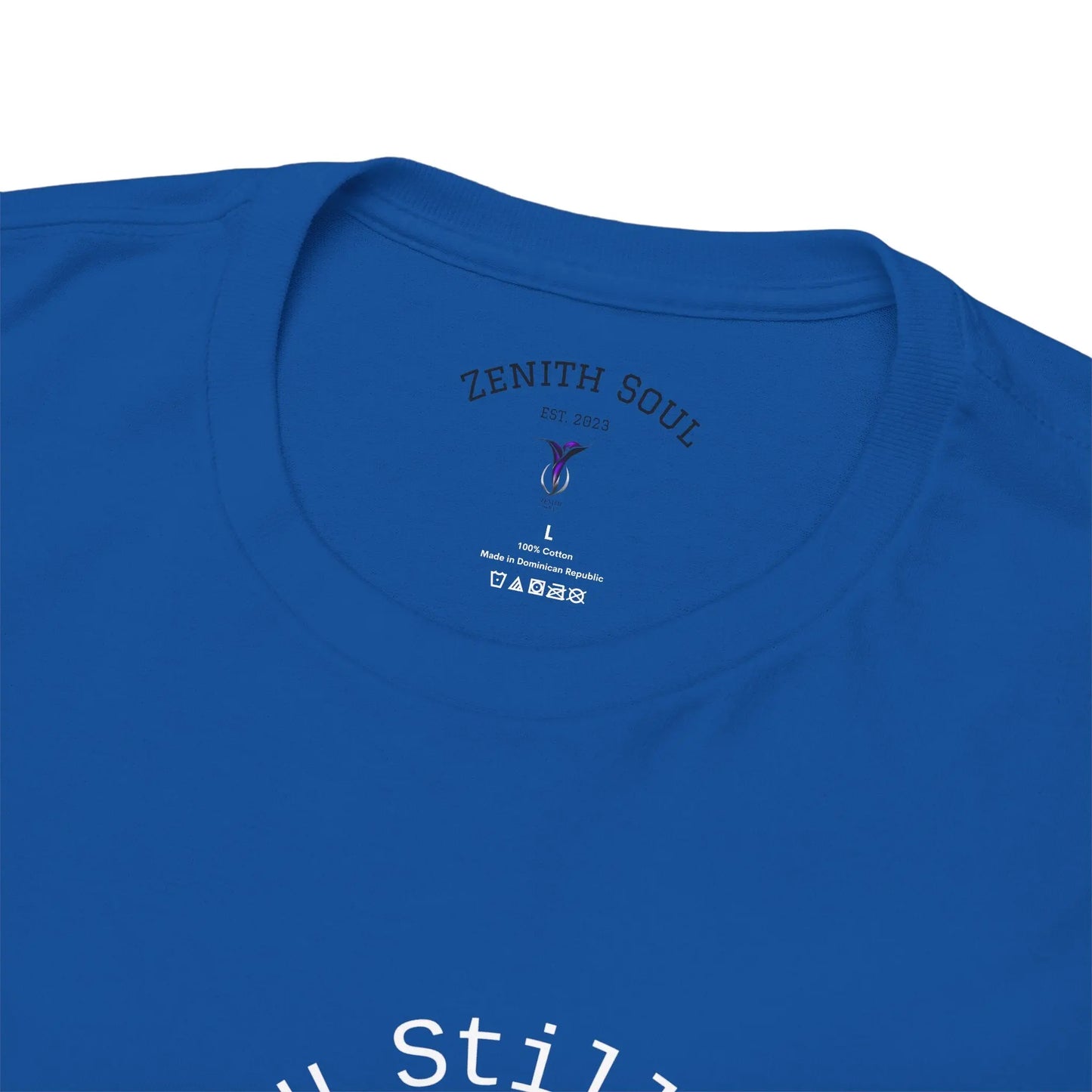 Saged the Room T-Shirt Printify
