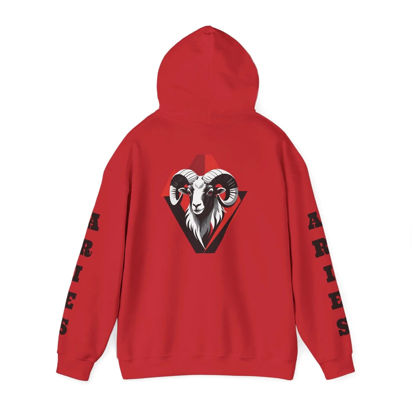 Aries Energy Everyday Hooded Sweatshirt Printify