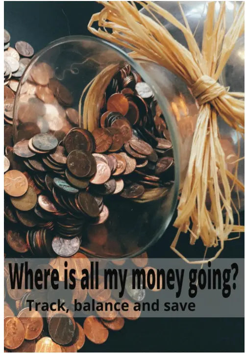 Finance Journal Zenith Soul LLC