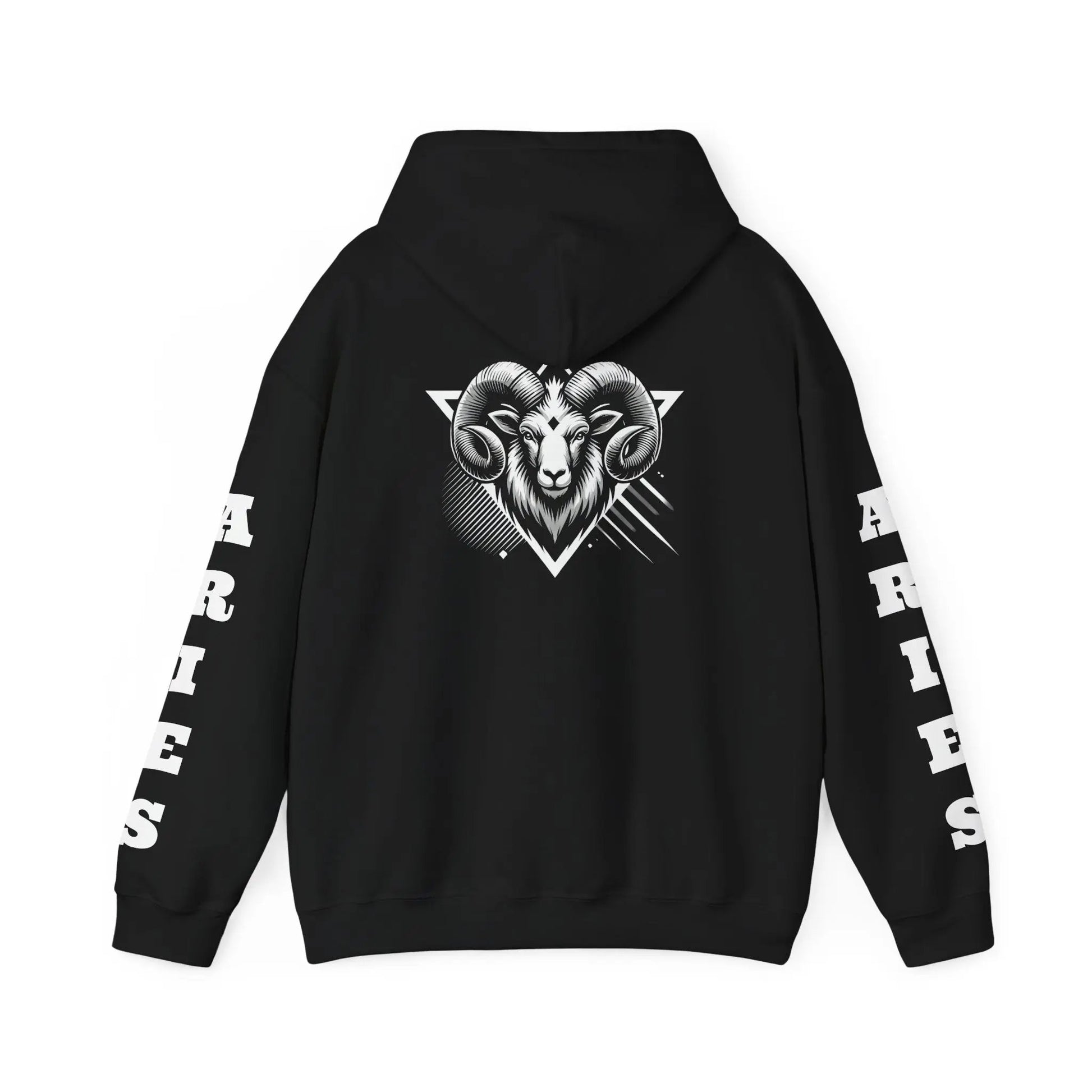 Aries Energy Everyday Hooded Sweatshirt Printify