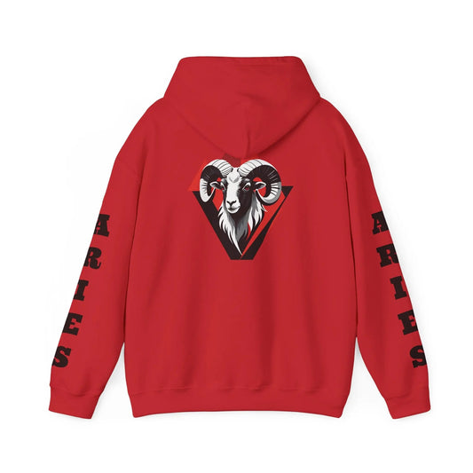 Aries Energy Everyday Hooded Sweatshirt Printify